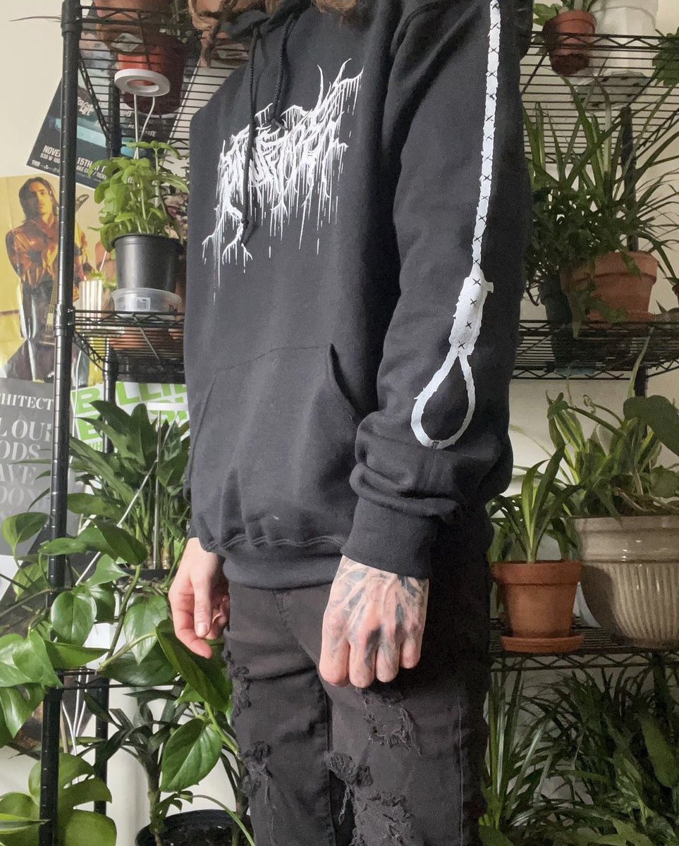 Alexander tweet media