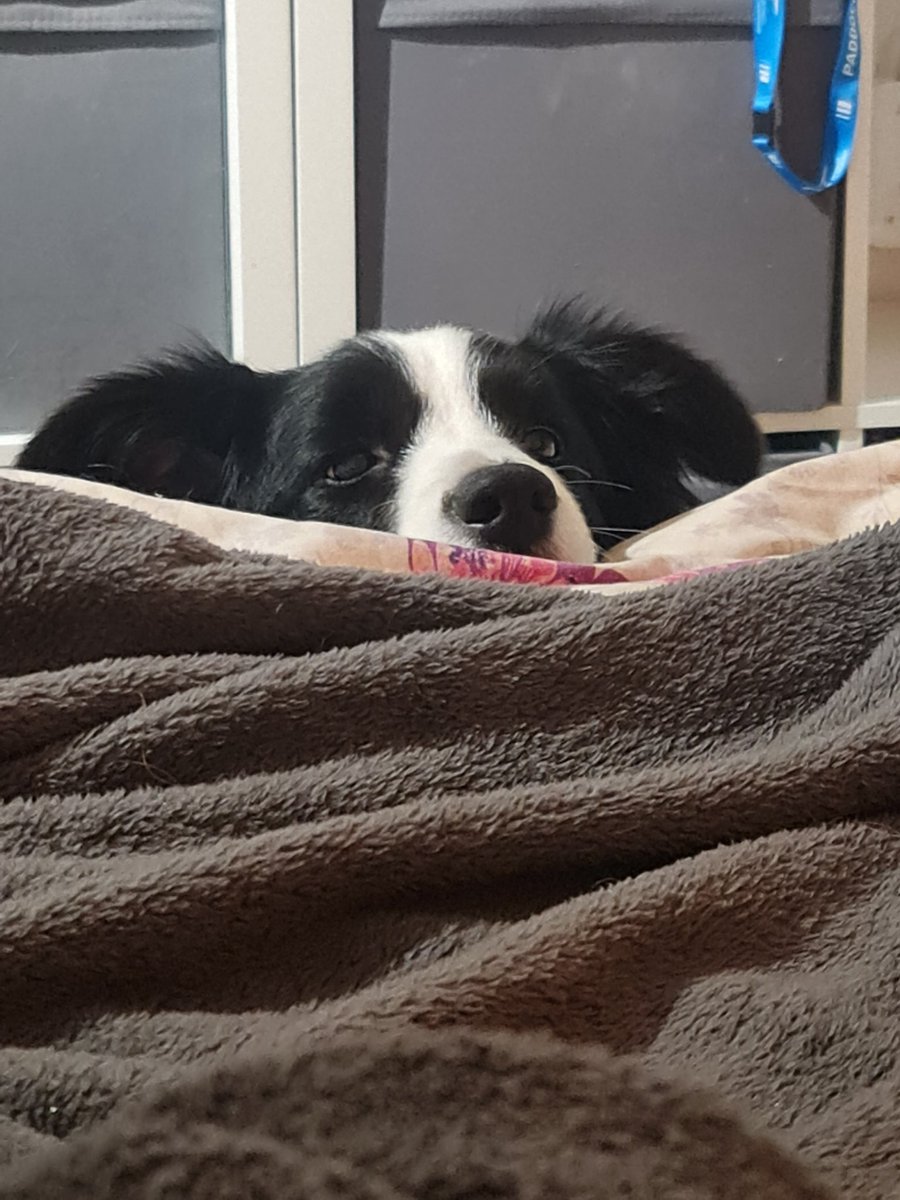 👑【QueenE of the Void】🌌 tweet media