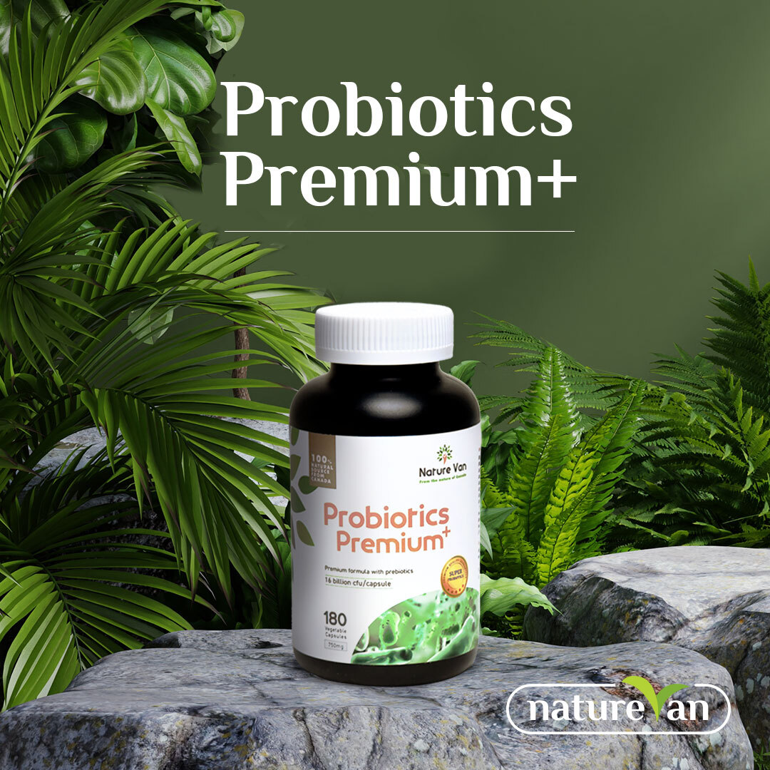 JusteraHealth's tweet image. 🌿Did you know an unhealthy gut can cause a number of health issues?
⚡Improve your gut health with probiotics premium+
💊Just one capsule delivers several health benefits! 
📌Learn more at naturevan.ca
#Vitamins #guthealth #health #wellness