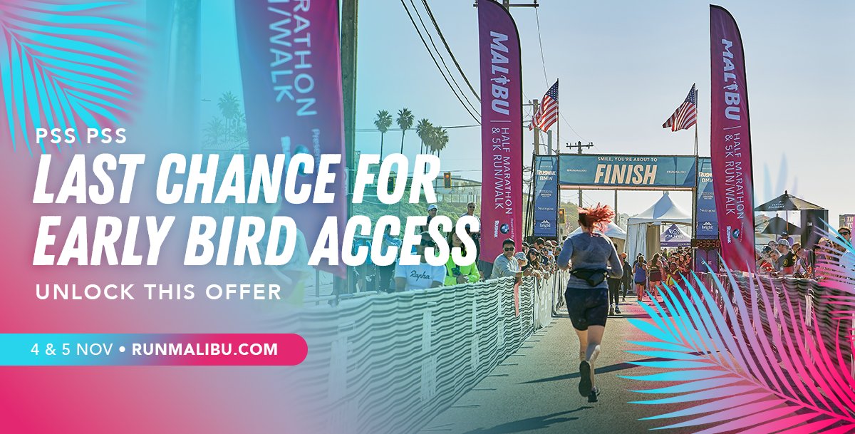 LAST CHANCE FOR THE EARLY BIRD OFFER 🐣 ⚡ - mailchi.mp/acf7718fcffc/l…