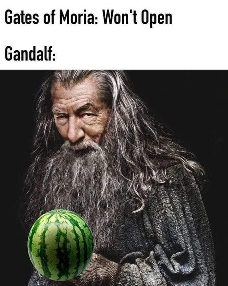 mellon_heads's tweet image. 