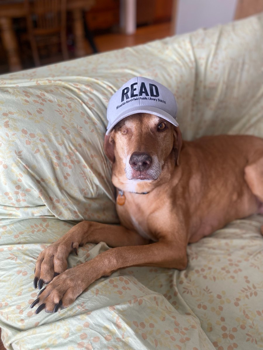 WinnLib's tweet image. Timber wants you to read, and so do we! 

That&apos;s why we invite you to stop by either the Winnetka or Northfield locations today from 1pm - 5pm. See you soon! 

#WNPLD #WinnetkaLibrary #NorthfieldLibrary