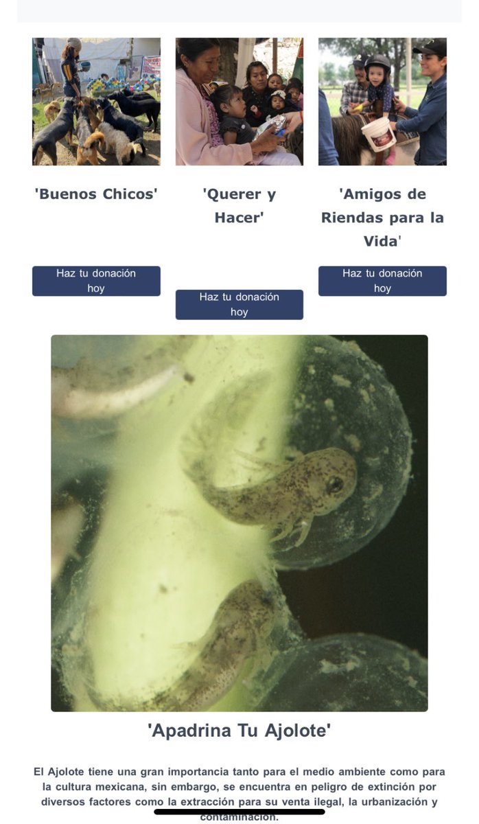 Y tu? Cómo ayudas? 
Dona en <a href="/FondifyLAT/">Fondify LAT</a> plataforma fácil y transparente