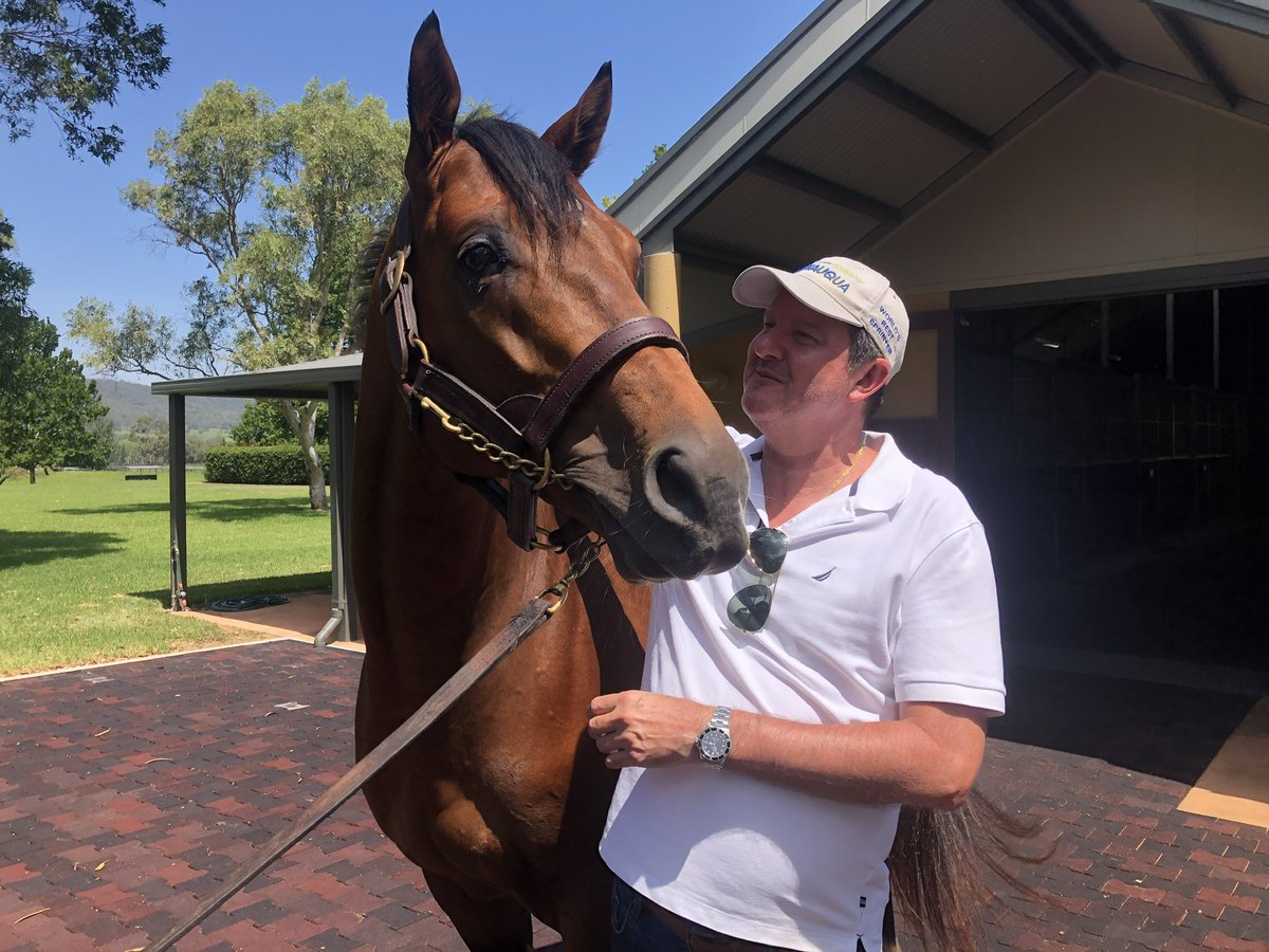 hkdarren's tweet photo. One of the great Randwick Guinea’s winners, The Autumn Sun @ArrowfieldStud . A name we’ll be hearing plenty more of as a Sire,if recent 2yo trials are an indication. #autumnballet https://t.co/6xRYbw9AUs