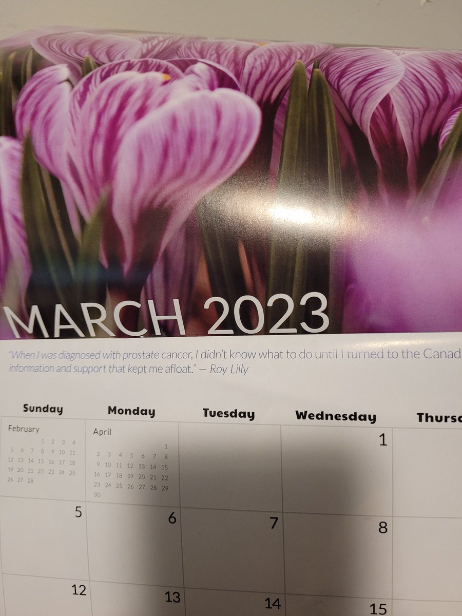 Roy Lilly tweet media