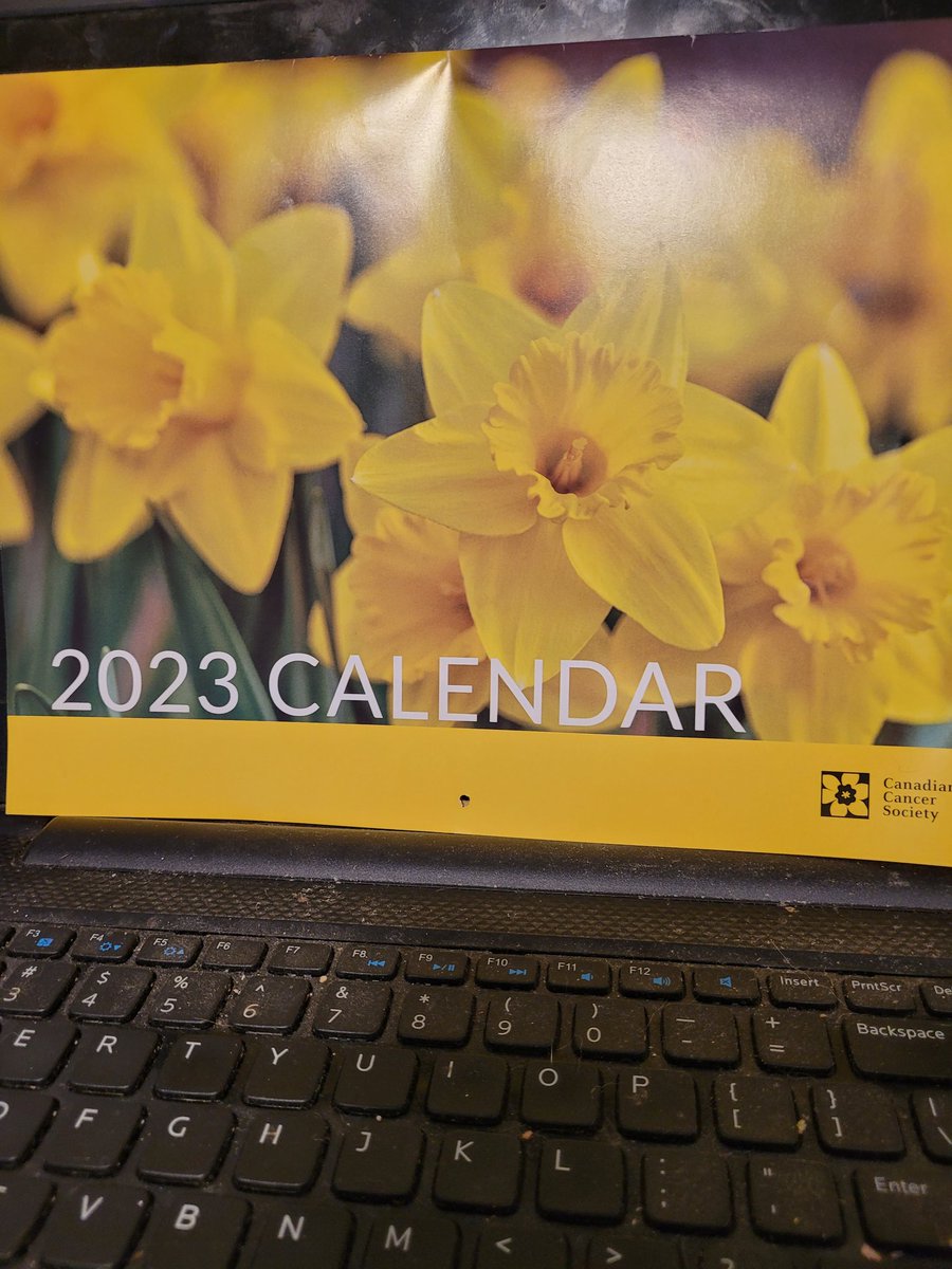 Roy Lilly tweet media