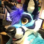 Photo by Kacec The Fox 🇩🇪 (@KacecFox)