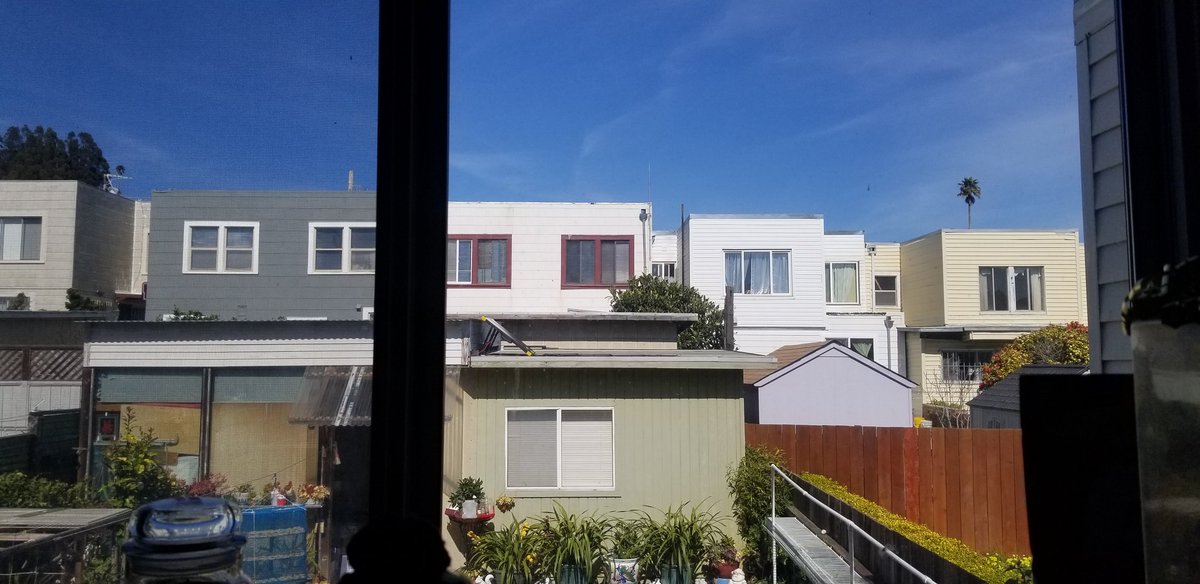 Gdubb005's tweet image. YO! What a freakin BEAUTIFUL Day 🤩
#prettyday #Sunny #feelinggood