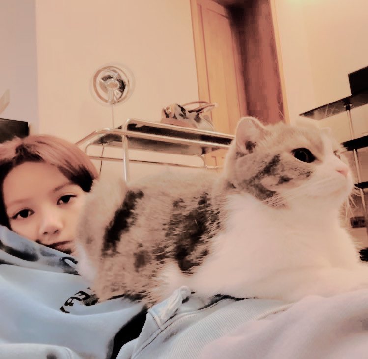 eonvai's tweet photo. @uswersa @noodletsy ⠀ᅠ
⠀ᅠ
   ⠀ ‣ుƚ૪ƚɾᨡck꠩𝗺𝗲𝘀𝘀𝗮𝗴𝗲᧒ຄ 
   ೃ💭₊ bu saatte gelen bildirim
lerde sizlerin adını görmek  be
ni gerçekten şaşırttı. fikrinin n
e olduğunu çok merak ettiğim
i söylememe gerek yok diye  d
 ᪤ƚᨣ chᨡƚ★·۰ʄᎥvᦸsƚᨡr❜#metalk
⠀ᅠ
⠀ᅠ https://t.co/oEMps8Q0vJ