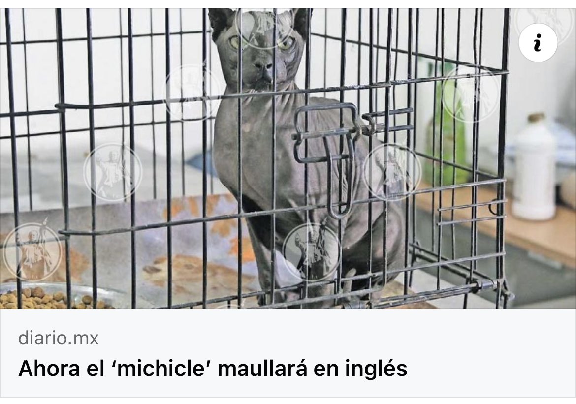 JrzOutOfContext's tweet photo. Aquí lo que estamos tuiteando es el encabezado de la nota 😵‍💫😵‍💫 https://t.co/7lVlAcvB4B