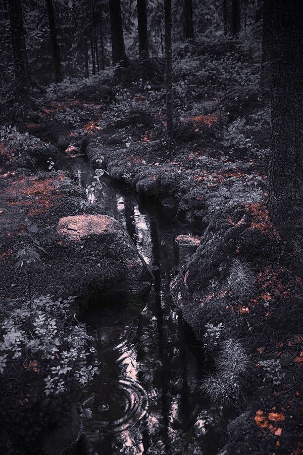 𝔸𝕫𝕣𝕒𝕖𝕝 𝔾𝕣𝕒𝕪 (@conduitofchaos) on Twitter photo 