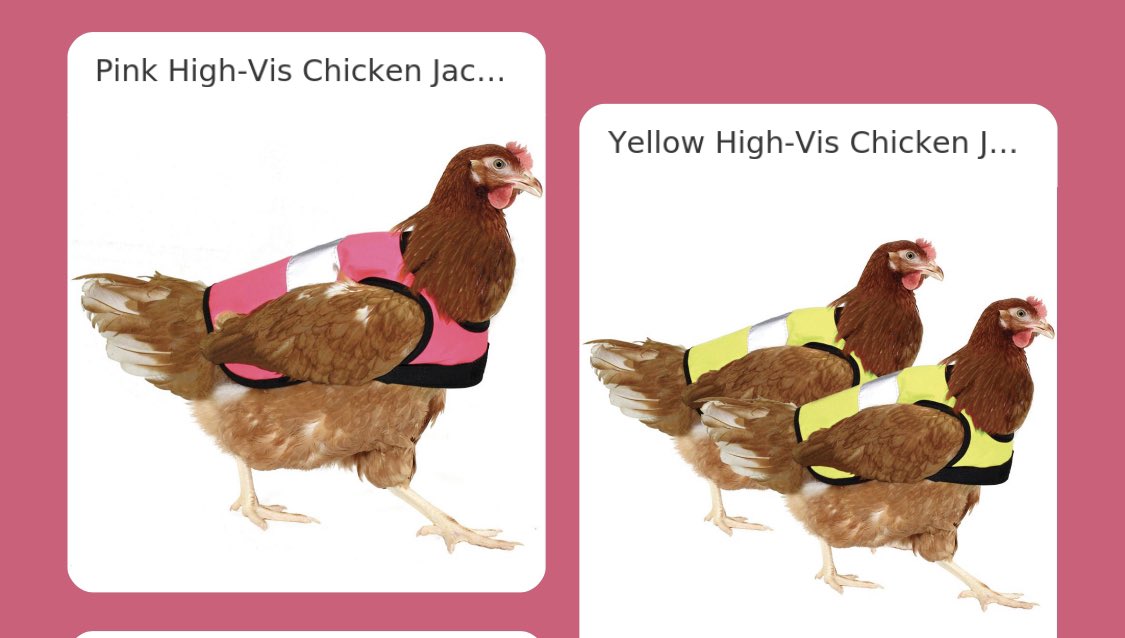 justthemedicine's tweet photo. Instagram has started trying to sell me tiny high vis jackets for chickens. What a time to be alive! https://t.co/wHLHtZCXMx