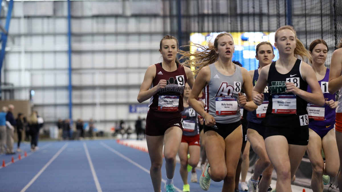 CU Tigers XC & Track tweet media