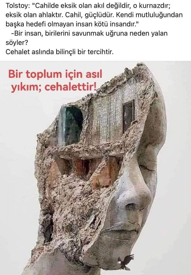 Sema Akyol (@akyolsema123) on Twitter photo 