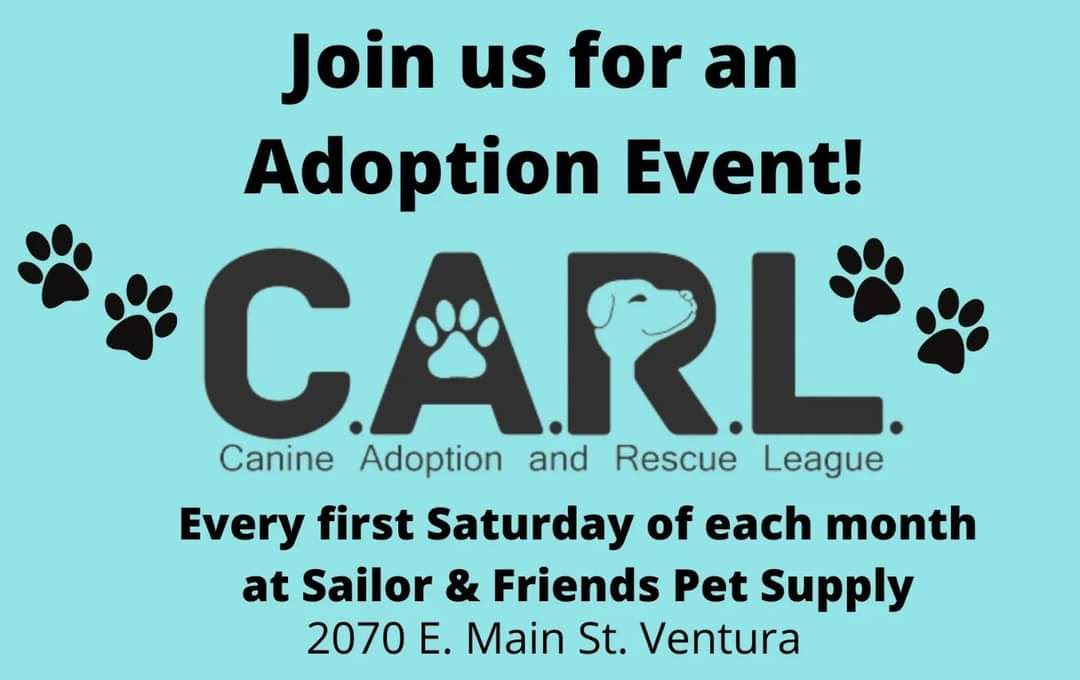 Petzgazette's tweet photo. Join us Saturday 03/4 for dog adoptions with @carl_dogs from 11:30AM-3:30PM!
#sailorandfriendspetsupply #Carldogs #Ventura #805PetAdoptions #805pets #VenturaCounty #ShelterPets #805events #VenturaEvents
— at Sailor & Friends Pet Supply. https://t.co/Ubp0YKjAib