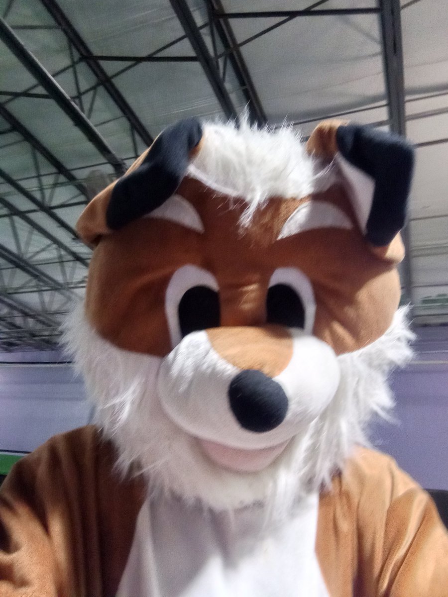 TheodoreTheLion's tweet photo. Tomorrow morning I'm leaving for North Carolina to see family see ya there! (Maybe I might be around somewhere) https://t.co/NjCzdZ4zuV