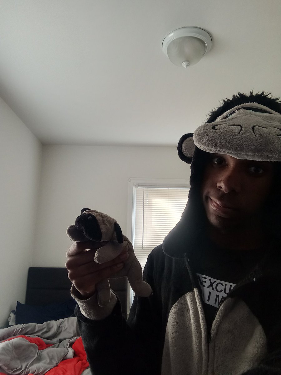 TheodoreTheLion's tweet photo. Tomorrow morning I'm leaving for North Carolina to see family see ya there! (Maybe I might be around somewhere) https://t.co/NjCzdZ4zuV