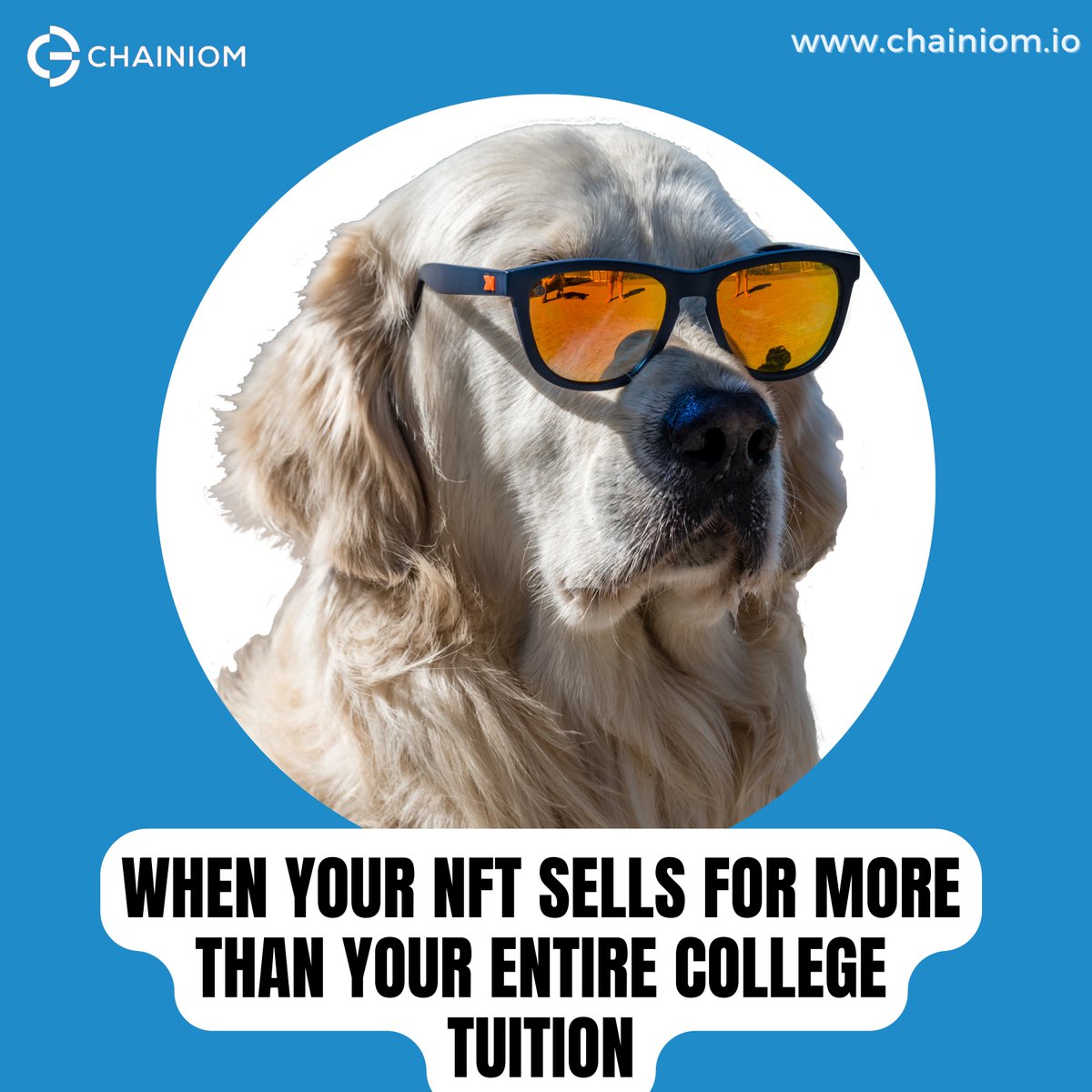 TheChainiom's tweet photo. "The possibilities are endless in this new world of NFTs"
#NFTs #NFTCommunity #Chainiom @TheChainiom https://t.co/EATfyx24Tu