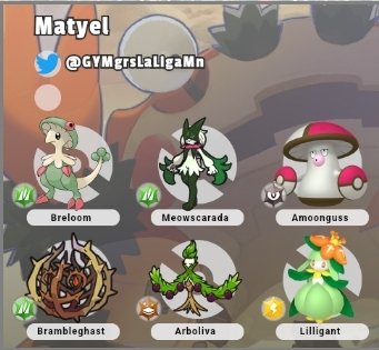 El equipo que use en el mini torneo  de @Unbe789  gracias a los que me invitaron
Se que el team no es el mejor y tengo que mejorlo pero me pude echar unos buenos combates y tuve 2 revanchas así que nada mal🍀