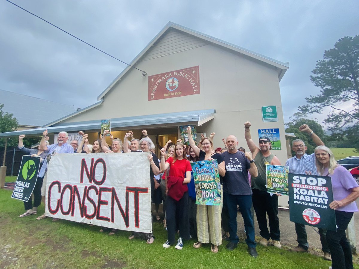 GreensPositive's tweet photo. Friends of Orara Forests are getting organized. Mature, intact and diverse areas of endangered forest are under threat as logging is ramped up in the area. It is vital to preserve these forest corridors linking coastal & western koala habitat. #GKNP #SaveOraraForests https://t.co/FssZ2oUqCn