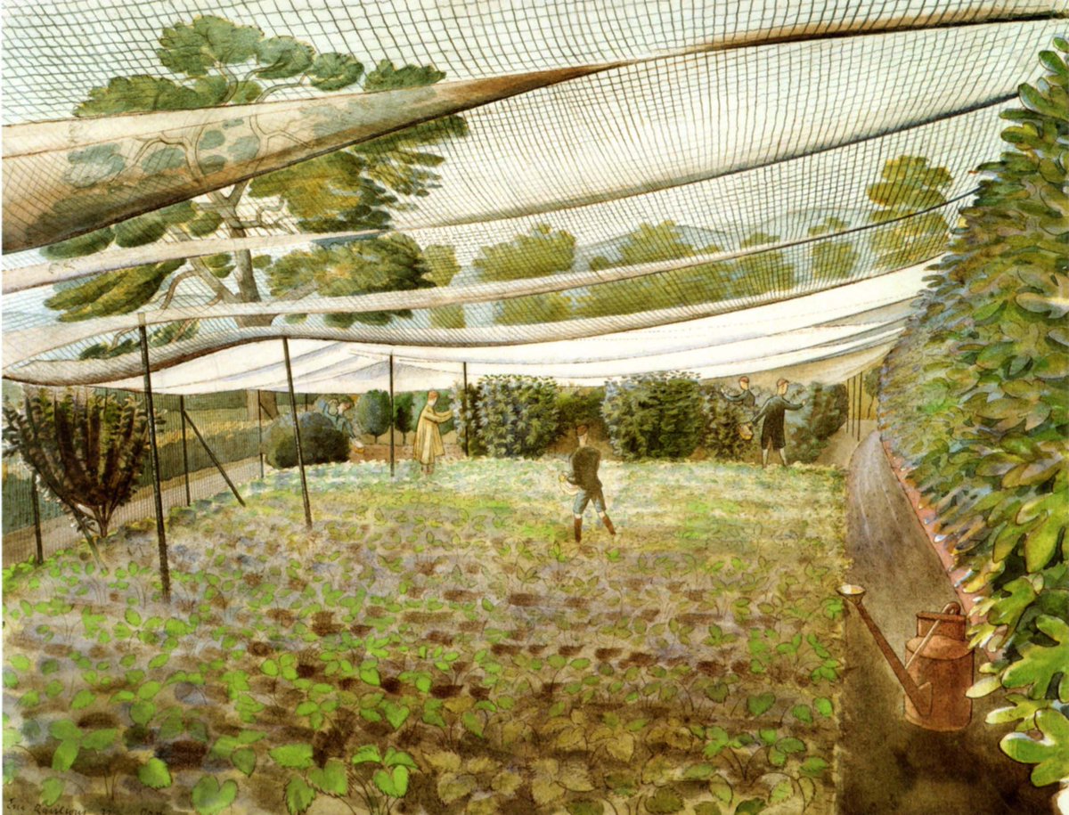Ravilious1942's tweet photo. Strawberry Nets, Eric Ravilious, 1932. This watercolour was commissioned by Sir Geoffrey Fry at his country home Oare House, near Pewsey, in #Wiltshire. The original artwork is in a private collection. https://t.co/BU2bJvFIFS