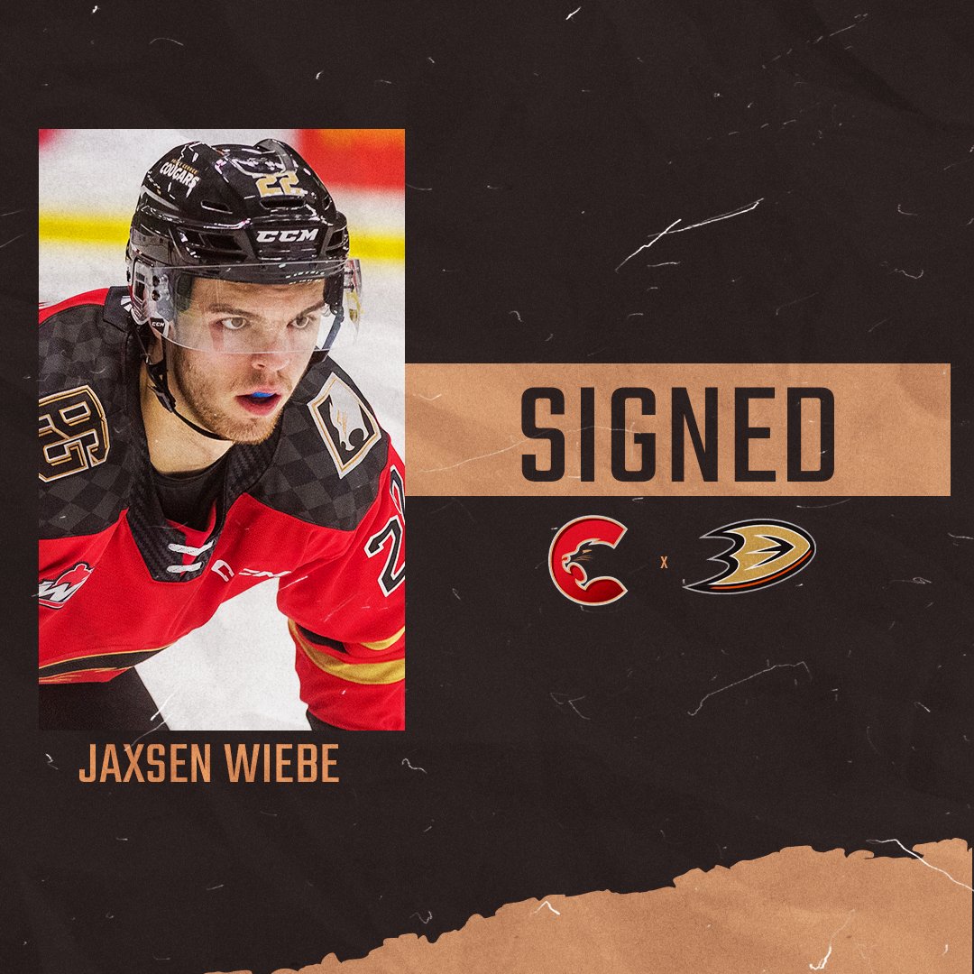 BIG NEWS! We are so excited to announce that Jaxsen Wiebe (02) has signed a three-year entry level contract with the @AnaheimDucks! Congratulations, @jaxsen_wiebe! 📝pgcougars.com/article/jaxsen… #ForTheNorth • #WHL