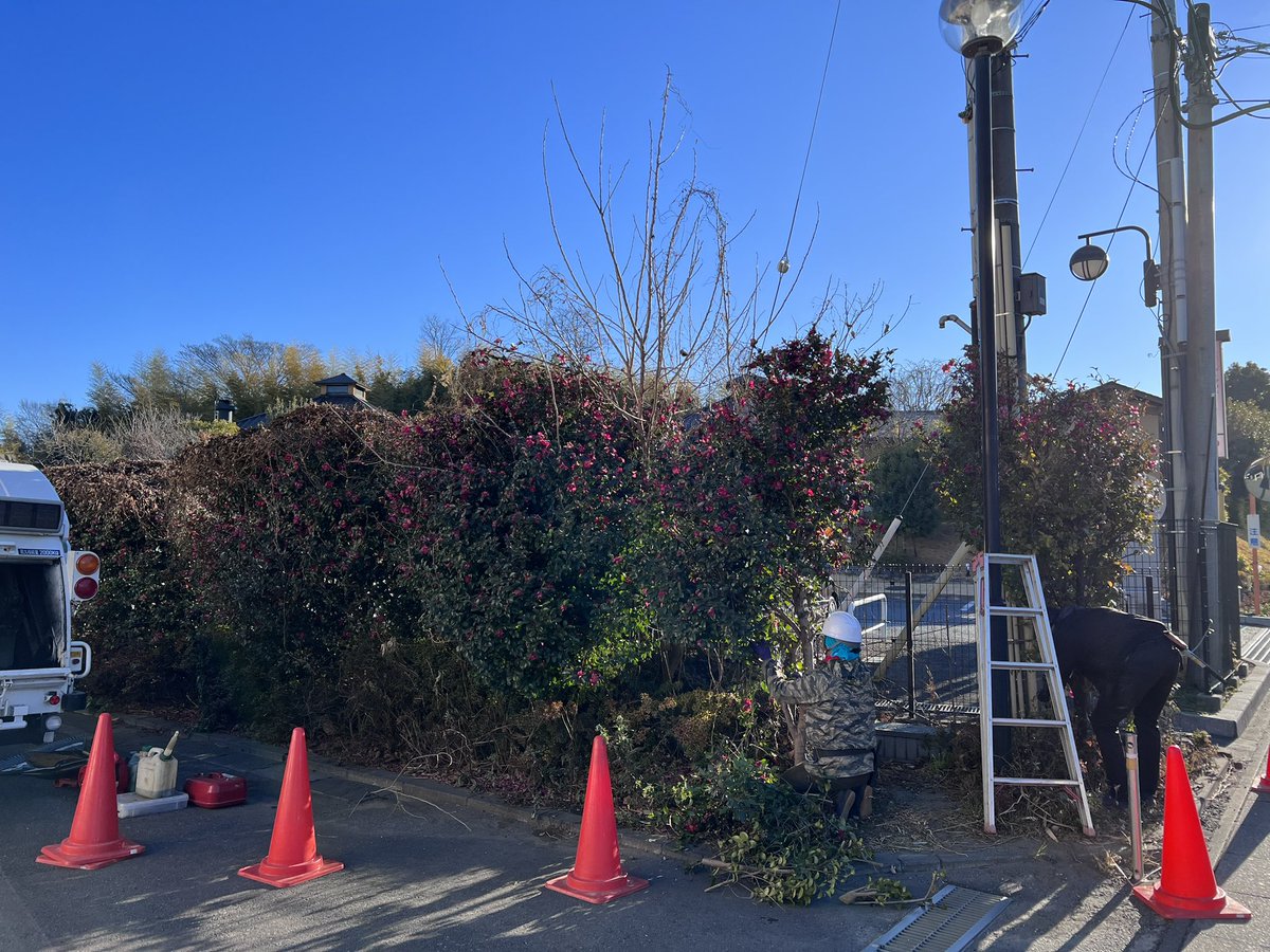 k6happyman's tweet photo. おはようございます😃

3月3日ひな祭り🎎
なんかワクワクします😁
ハッピーな週末にしていきましょう🤩

いってらっしゃい‼️

先週で植栽剪定からの雑草対策施工終了しました😁
これで雑草対策はバッチリ👍
今年の夏が楽しみ🥰

#ひなまつり
#植栽剪定
#雑草対策
#防草シート
#ザバーン https://t.co/bb10l2zWry