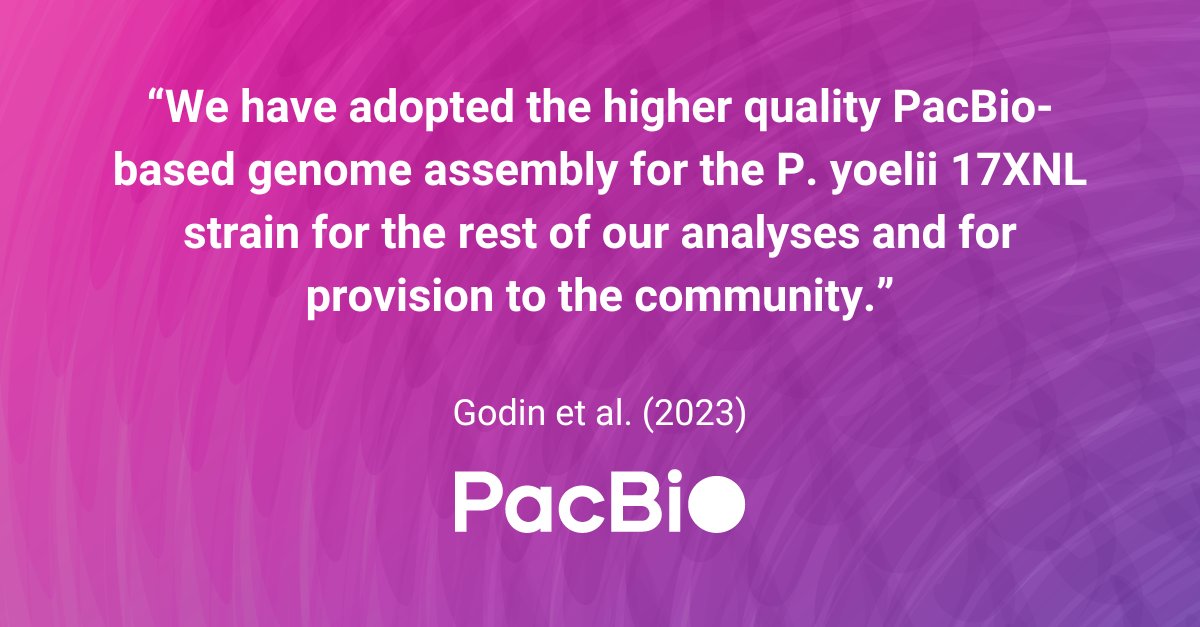 PacBio's tweet photo. The #PacBio HiFi outperformed Nanopore &amp; Illumina sequencing for a long-read genome assembly of Plasmodium yoelii. 

Learn more here: https://t.co/sU2RzLX97u
 
#PoweredByPacBio https://t.co/uScsNevIOg