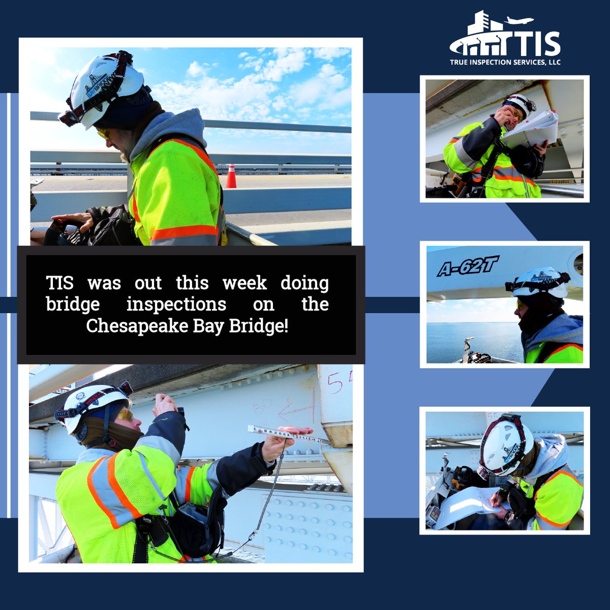 True Inspection Services tweet media