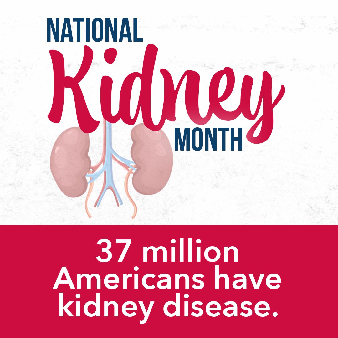 March is National Kidney Month! A time to bring awareness to kidney health &amp; support kidney disease research. Share this graphic to spread awareness!

Find more Quick Kidney Facts👇
ow.ly/hn8m50MMcQ6

#nationalkidneymonth #worldkidneyday #ckd #kidneydisease