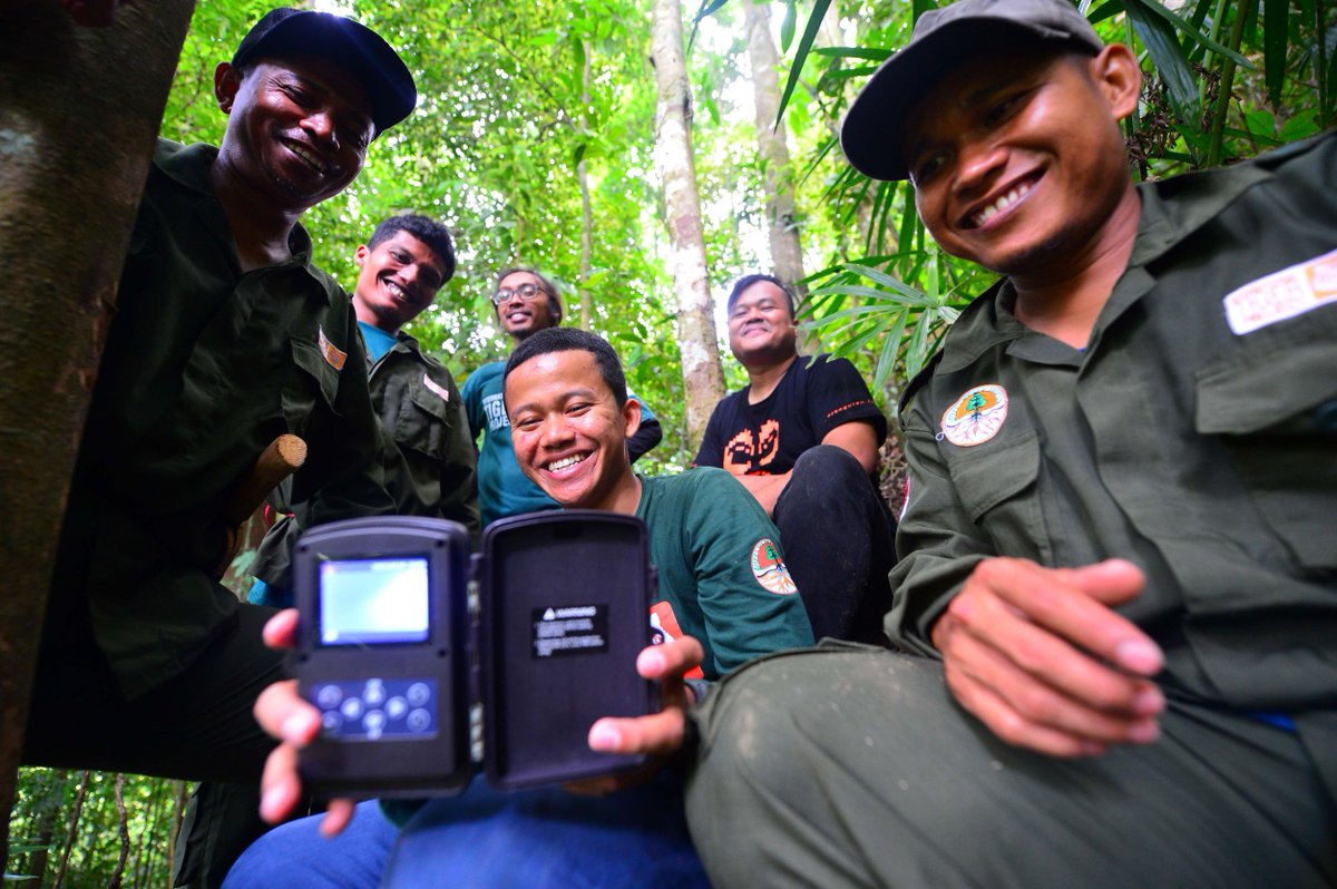 IntTigerProject's tweet photo. It's #World WildlifeDay! This year's theme is 'Partnerships for #WildlifeConservation'. Everything we do is in partnership with local Indonesian organisations and communities. Read about our partners here: https://t.co/v9vAFNTj18
#InternationalTigerProject #ITP https://t.co/XOfPuCklxG