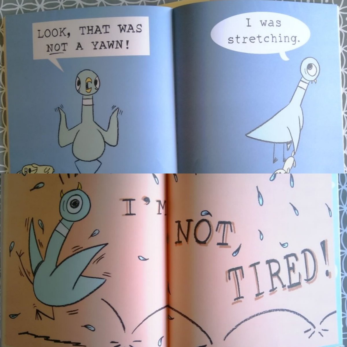 KateSLT's tweet photo. @anna_westaway The Pigeon books are fab for this! https://t.co/uoBDGme9Pz