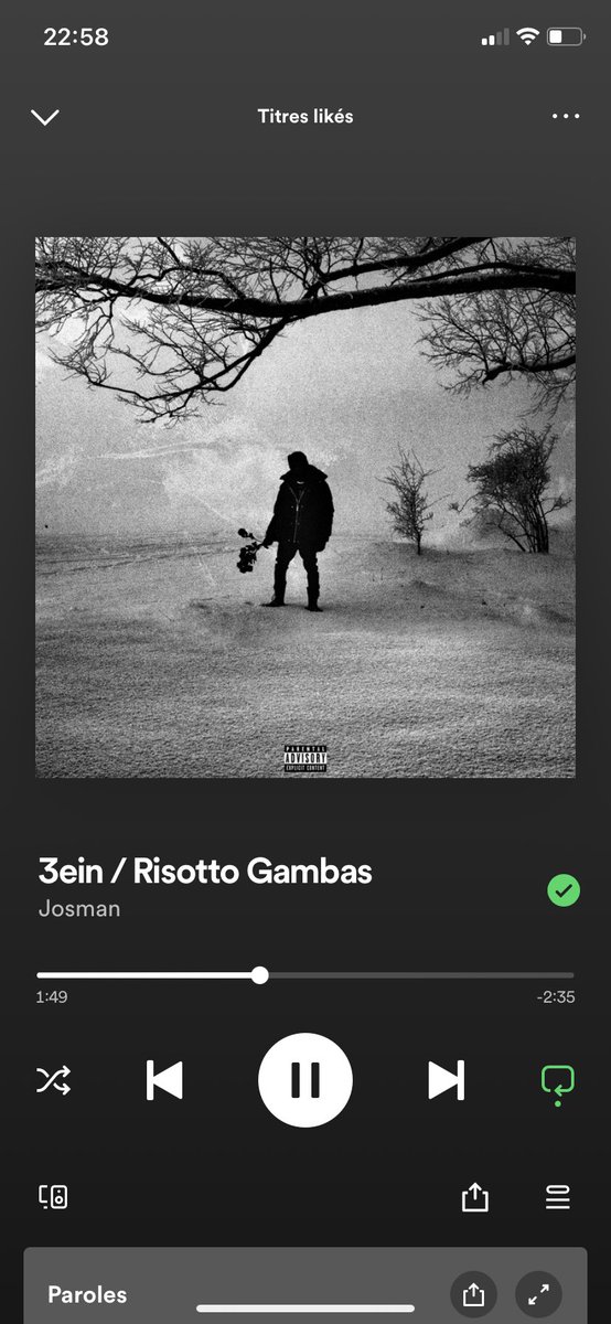 pourquoi personne ne parle de ce son purée