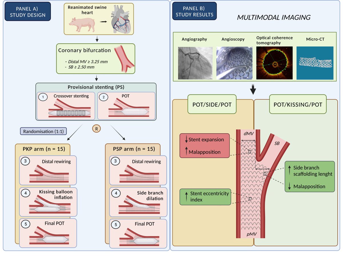 CircInterventions tweet media