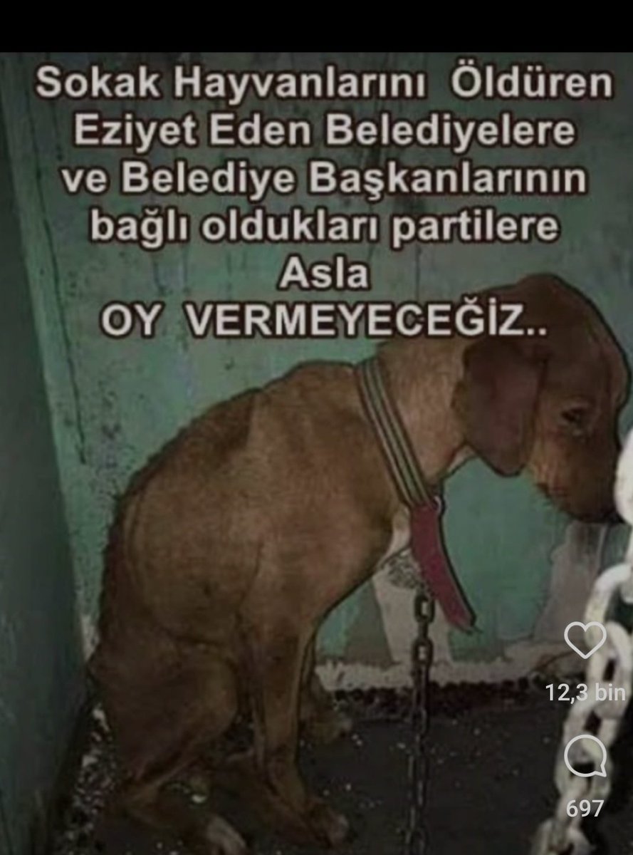BaskxG's tweet photo. #secim2023 #oyunuiyikullan #OyVerme #OyMoyYok #Partisiz https://t.co/RKlfTK88Ed