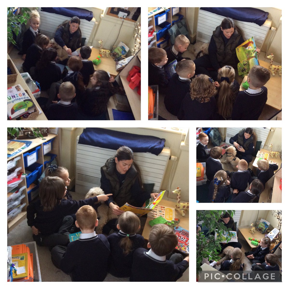 FPS_1_Turtles's tweet photo. Thank your Mrs. Murphy and Chewie for sharing stories with us yesterday. 😀 #fpsreading https://t.co/rHHkKXywRN
