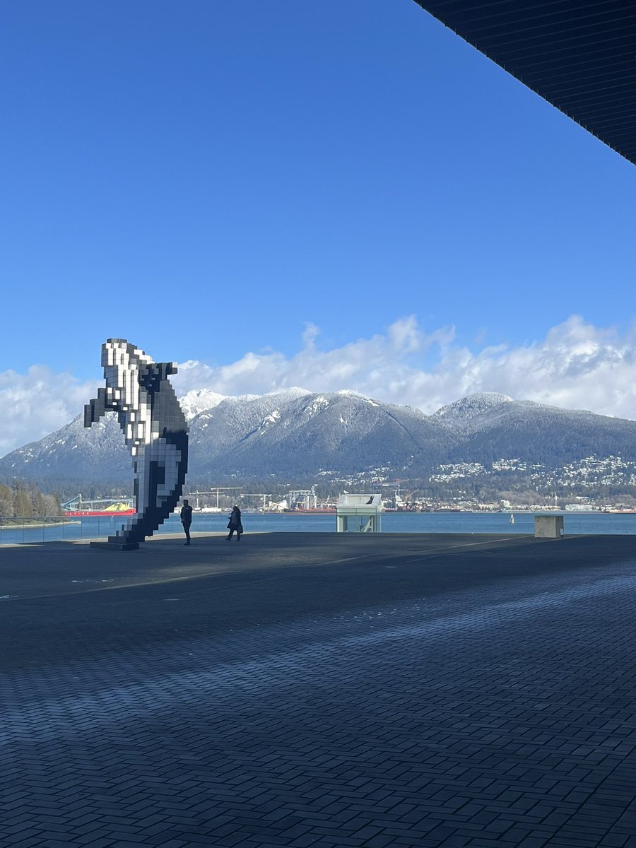 Ashley Harris tweet media