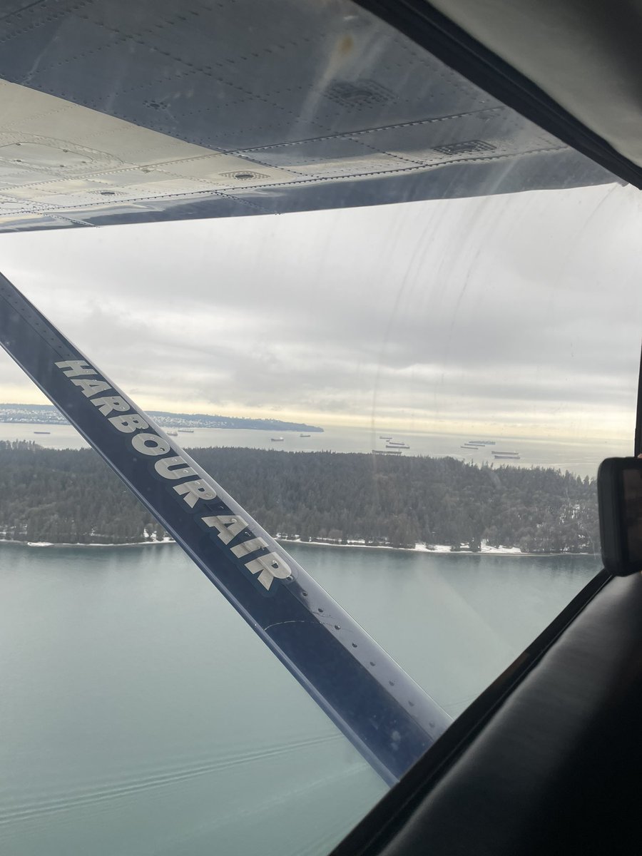 Ashley Harris tweet media