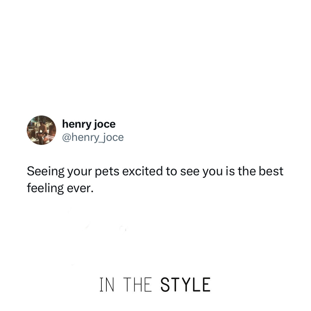 We love this💘 Let us know your pets name👇