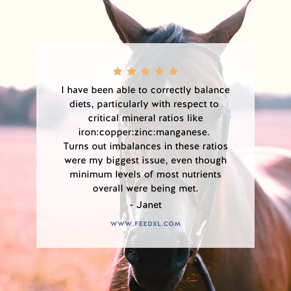 FeedXL's tweet photo. We asked "What's the single biggest benefit you gained from FeedXL?"

Here's what FeedXL member Janet had to say.

Curious about trying FeedXL? 

👉🏽 Find the plan that best fits your needs at https://t.co/jxWAIPxsQe https://t.co/dbvdX3n39U