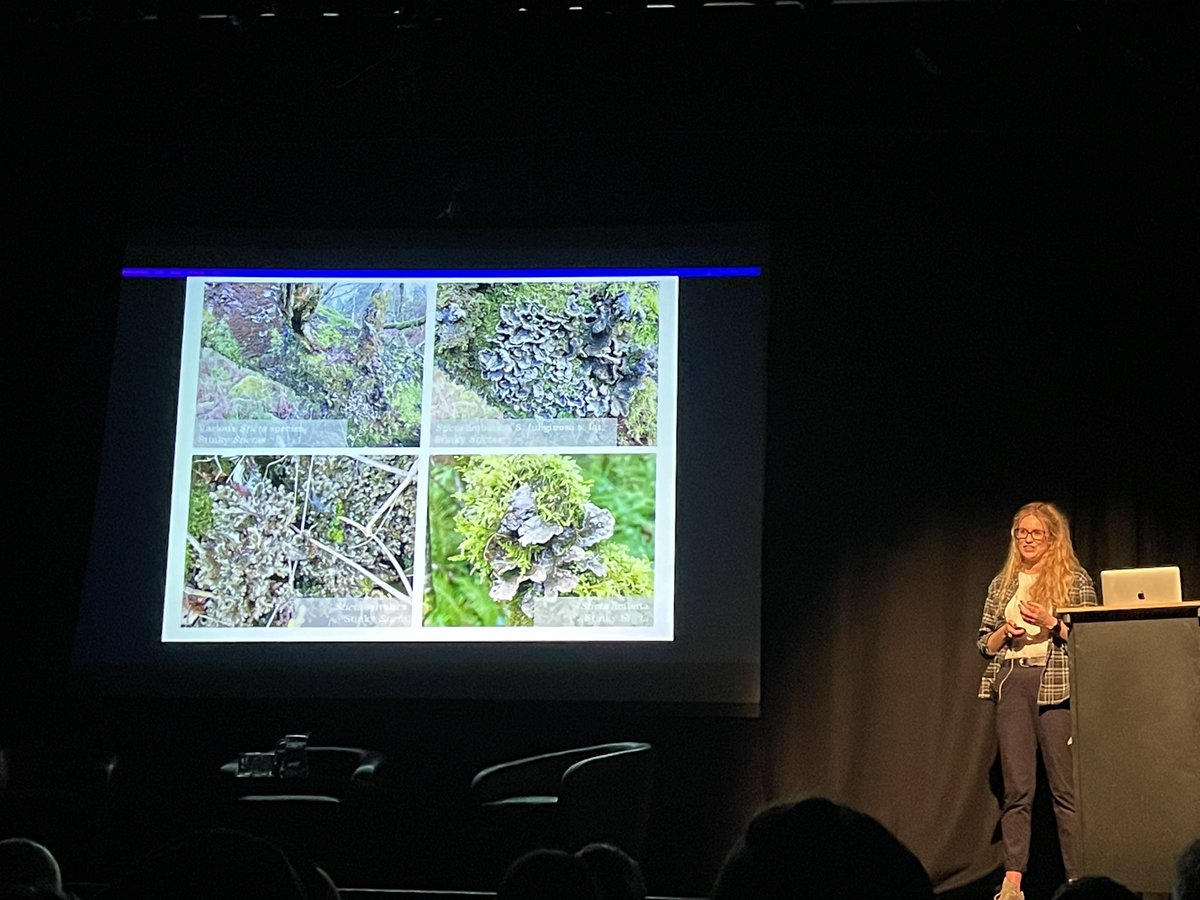 1MarchHare's tweet photo. Wouldn’t it be great if it was welcome to Devon, home of the cream tea and English Rainforests! 🌳Great talk in #exeter tonight on Rethinking Rainforests with @WoodlandTrust &amp; @guyshrubsole https://t.co/ihWqm2zjXH