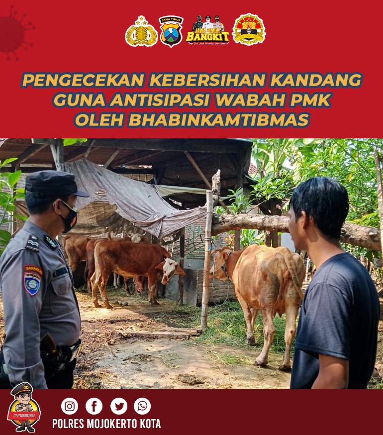 HendikTimoti's tweet photo. Pencegahan dan pengendalian penyebaran Wabah Penyakit Mulut dan Kuku ( PMK )
___
"Jadilah Polisi Yang Baik dan Jangan Sakiti Hati Masyarakat”
___
DM atau Tag @polres_mojokerto_kota
.
#PMK
#WabahPMK
#HewanTernak
#PenyakitMulutKuku
#Mojokerto
#PolresMojokertoKota
#PolriPresisi https://t.co/aoT8ZXnqiK