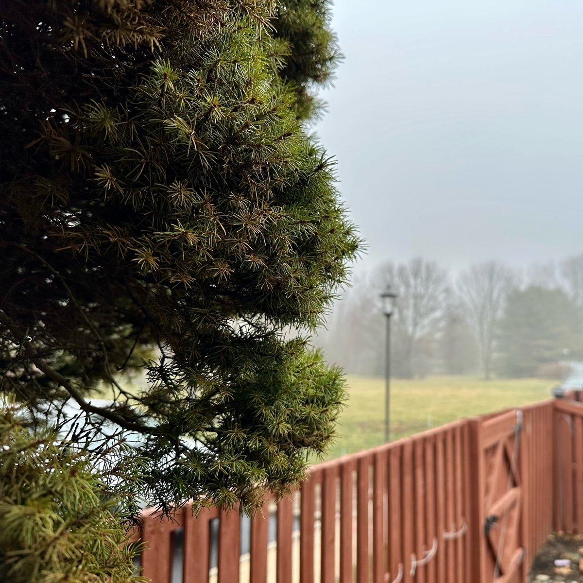 jafish's tweet photo. Day 2 of the https://t.co/iVUA0k62Ch March Photoblogging challenge, woke up to foggy weather. https://t.co/j4GPX7EQ4a https://t.co/lnijVCp9qc