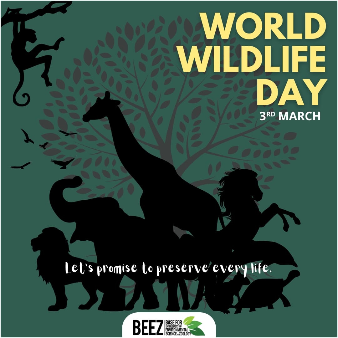 BeezUoc's tweet photo. “One touch of nature makes the whole world kin” - William Shakespeare ✨

We all share one planet. Let’s act individually to ensure the Earth remains a flourishing, vibrant, and breathing planet! 🌏💚 https://t.co/KfU17XINCp