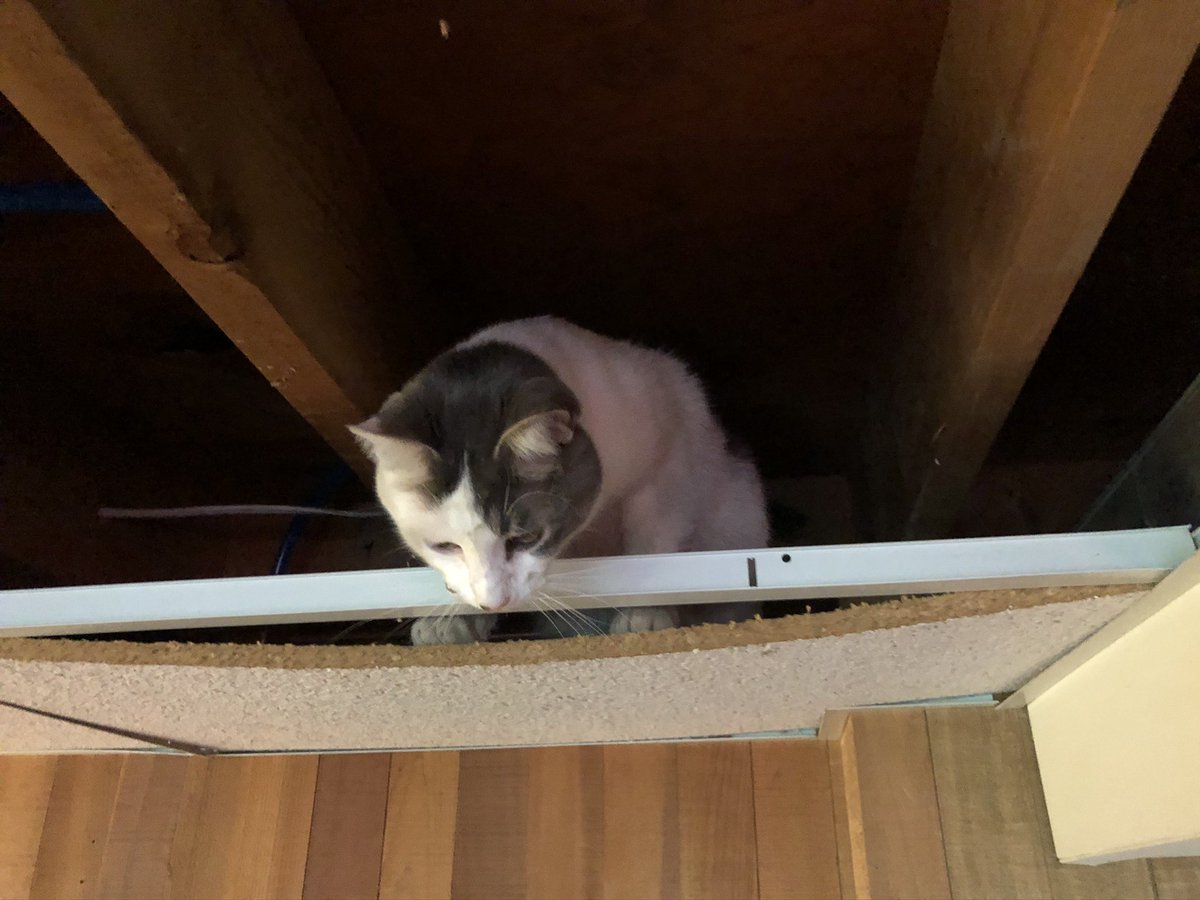 No Edits tweet media