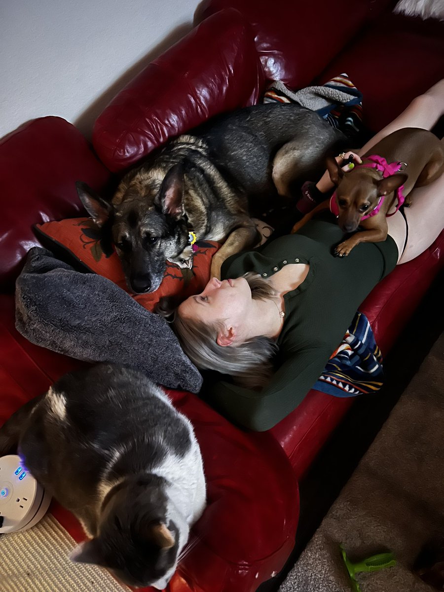 Eva Darling YNOTs Cam⭐️of 2022 on Twitter "Safe and sound laying on