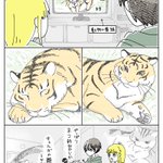 ちょいちょい愛猫の顔が浮かぶ？!動物番組を観ているときのお話を描いた「猫漫画」!