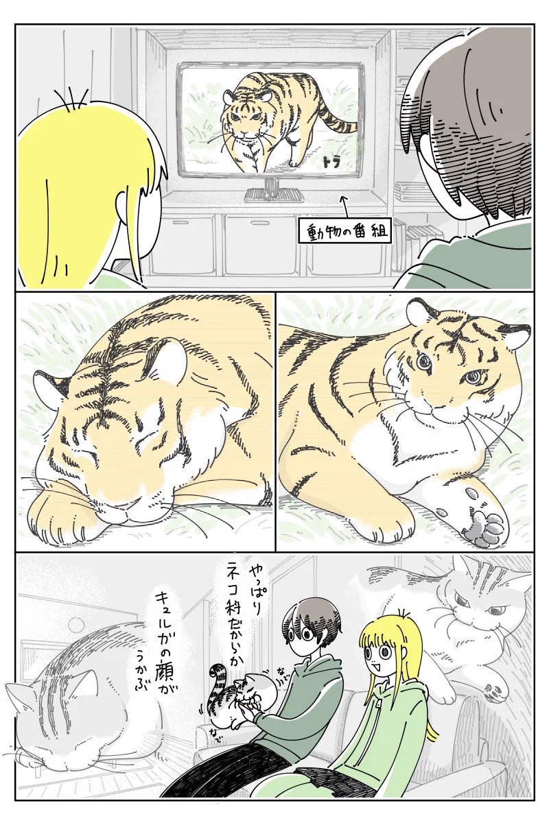 ちょいちょい愛猫の顔が浮かぶ？！動物番組を観ているときのお話を描いた「猫漫画」！
