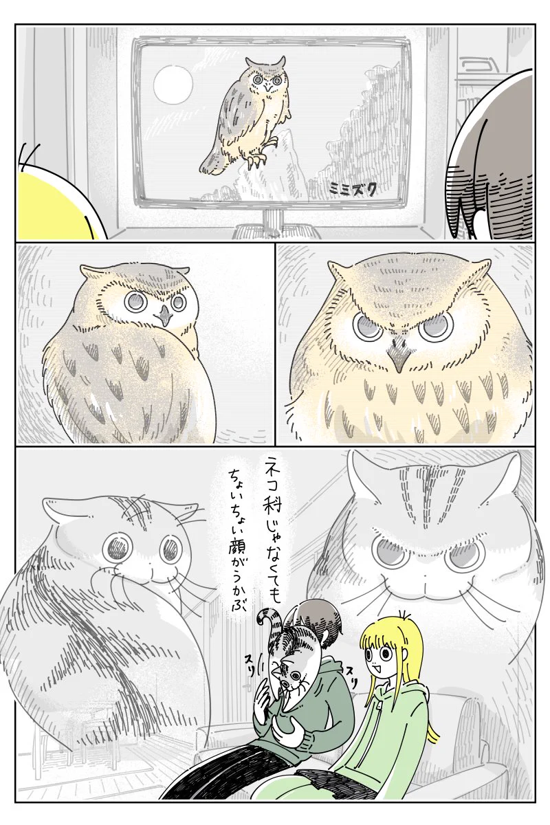 ちょいちょい愛猫の顔が浮かぶ？！動物番組を観ているときのお話を描いた「猫漫画」！