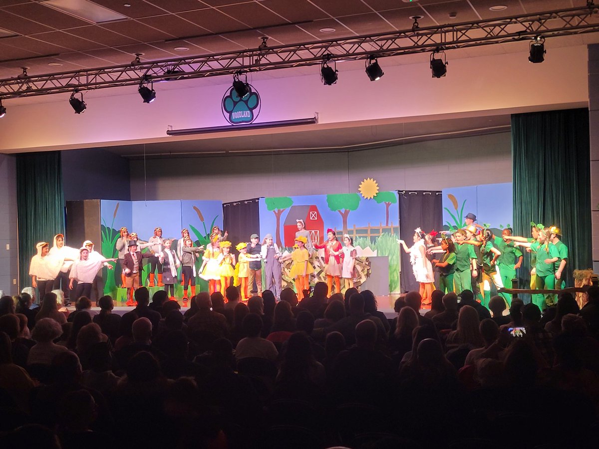 WoodlandIntDual's tweet photo. Bravo! So proud of all of our
@d50intermediate actors! Opening night of Honk Jr. was amazing! 🦢
@Woodland50News
@IntMrSheldon https://t.co/Uvp4bpYl5u